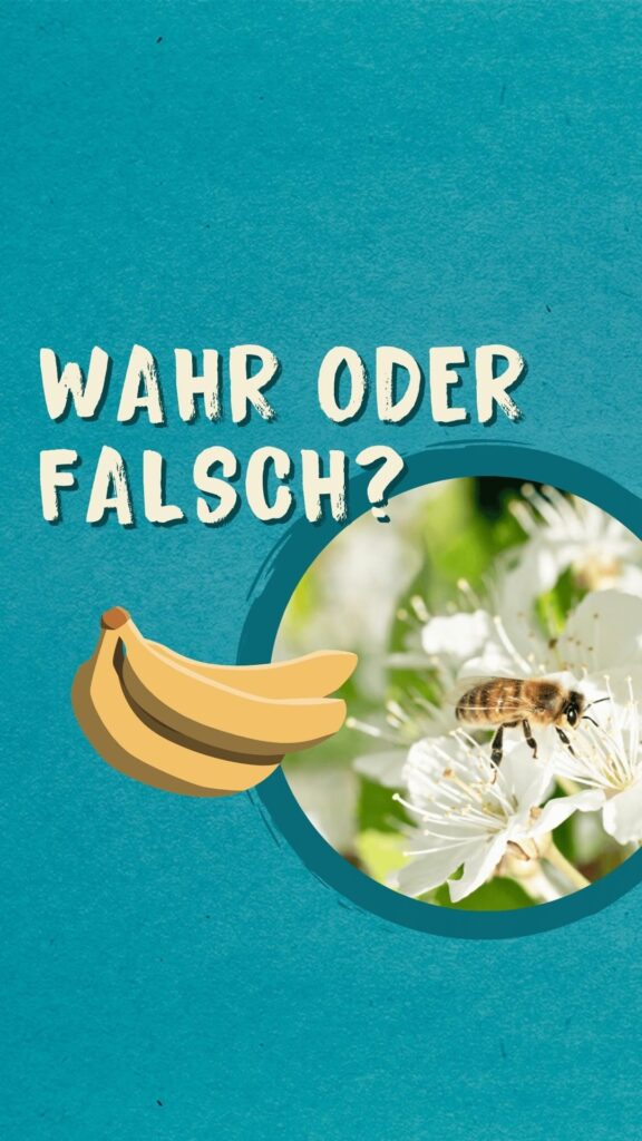 WAHR ODER FALSCH: DAS ALARM-PHEROMON DER HONIGBIENE RIECHT NACH BANANE

 Verschi...